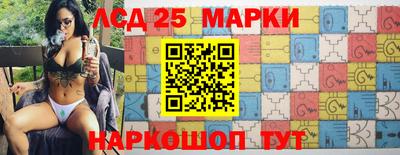 стаф Краснодар
