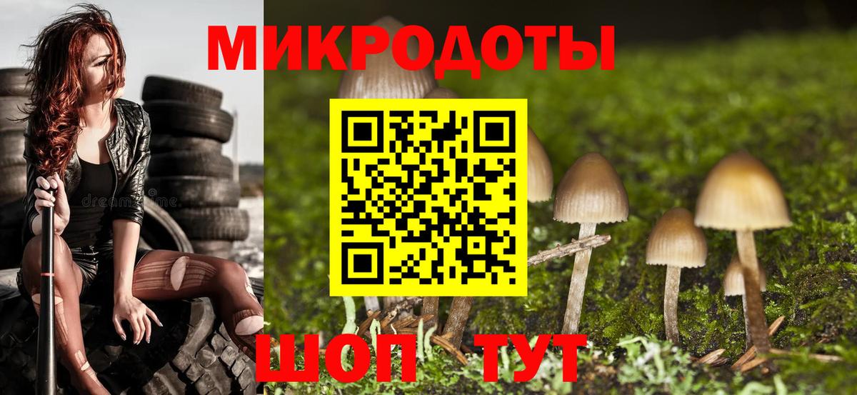купить наркоту  Псилоцибиновые грибы MAGIC MUSHROOMS  Искитим  Вход с VPN  Псилоцибиновые грибы Magic Shrooms 